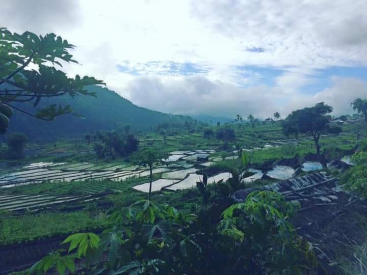 Wisma Kelimutu Ende Exterior foto